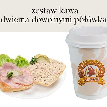 Da Vinci Apartment Krakkó Kültér fotó