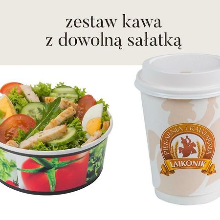 Da Vinci Apartment Krakkó Kültér fotó