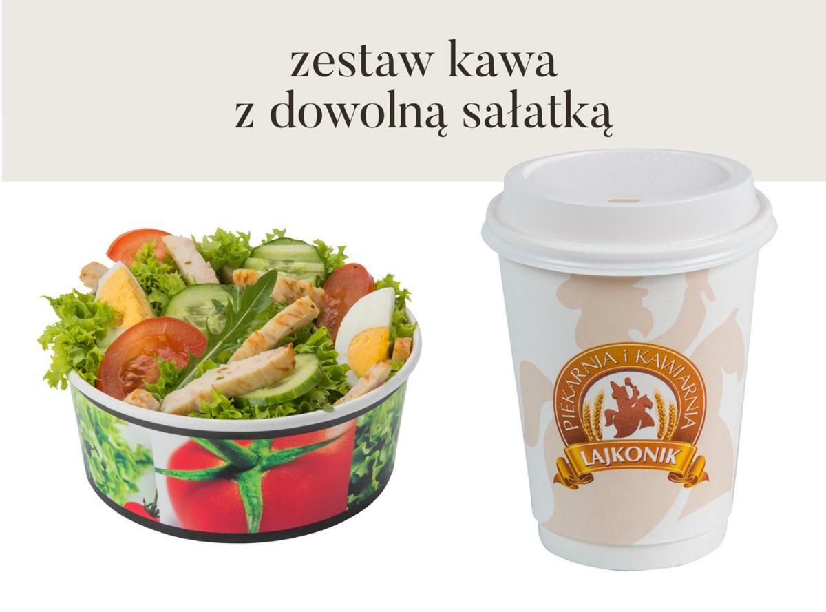 Da Vinci Apartment Krakkó Kültér fotó